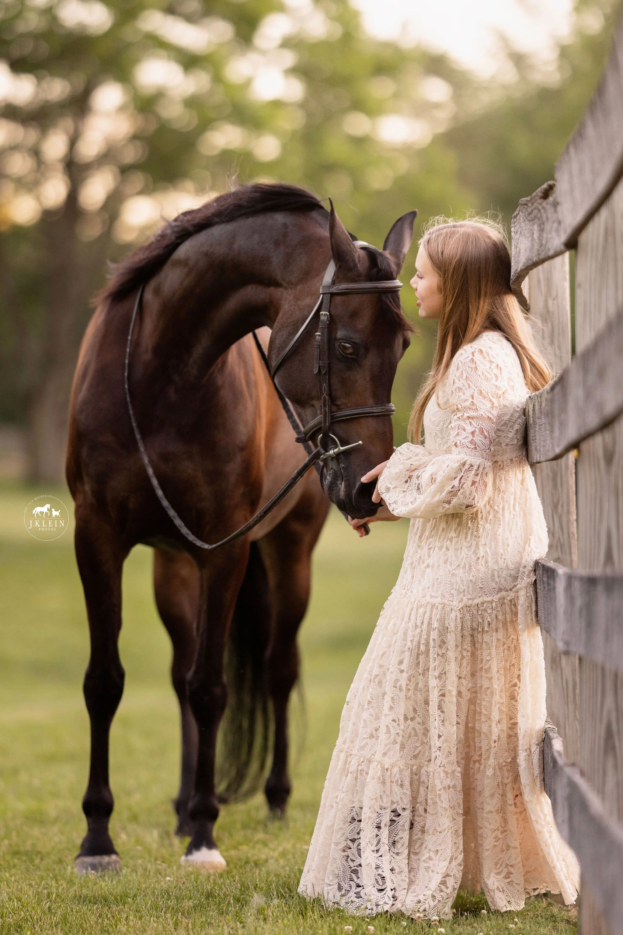 Michigan Horse and Rider Photoshoot with Arabian Horses — J.Klein